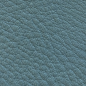 petrol